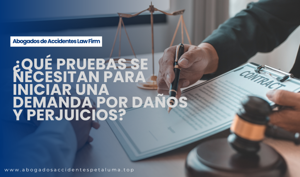 qué evidencia necesito para una demanda