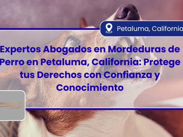 Expertos Abogados en Mordeduras de Perro en Petaluma, California: Protege tus Derechos con Confianza y Conocimiento